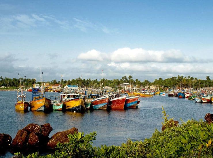 Discover the vibrant coastal mooring at scenic Kapparatota Harbour