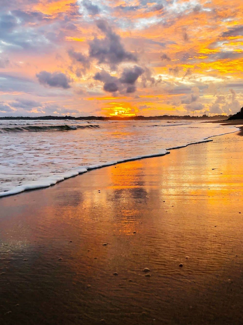 Discover a peaceful river escape at scenic Pelena Beach